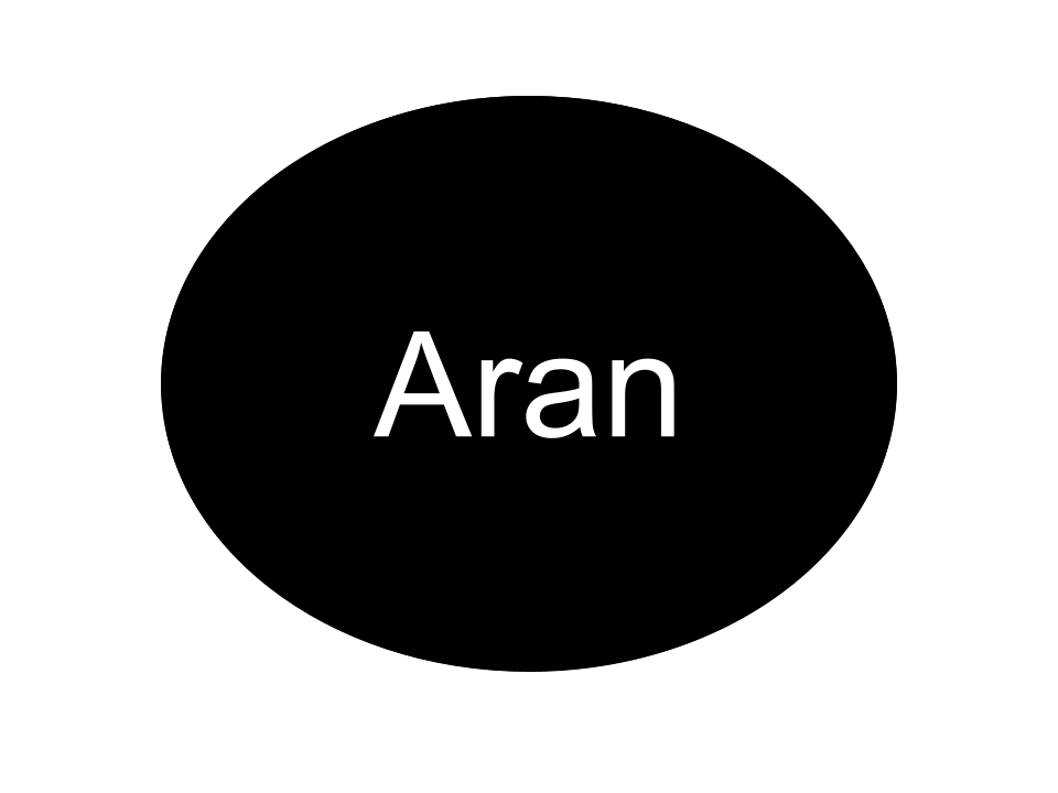 Aran Systems